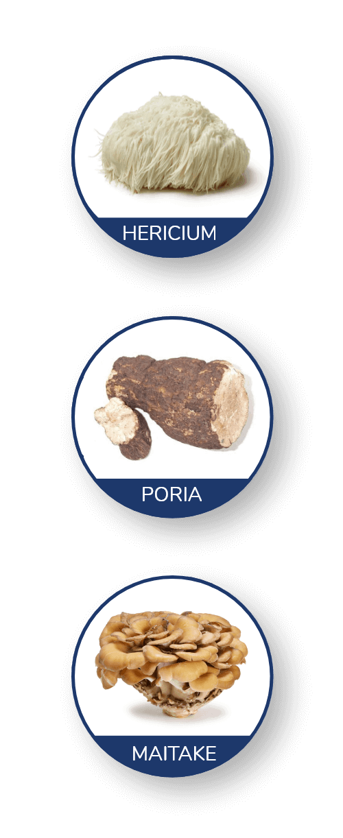 Hericium, Poria and Maitake